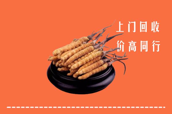 附近收购：亚东县冬虫夏草回收多少钱每克