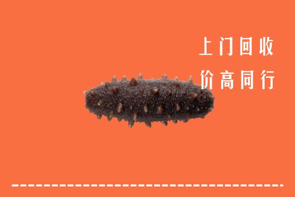 亚东县回收海参