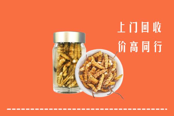 亚东县回收冬虫夏草